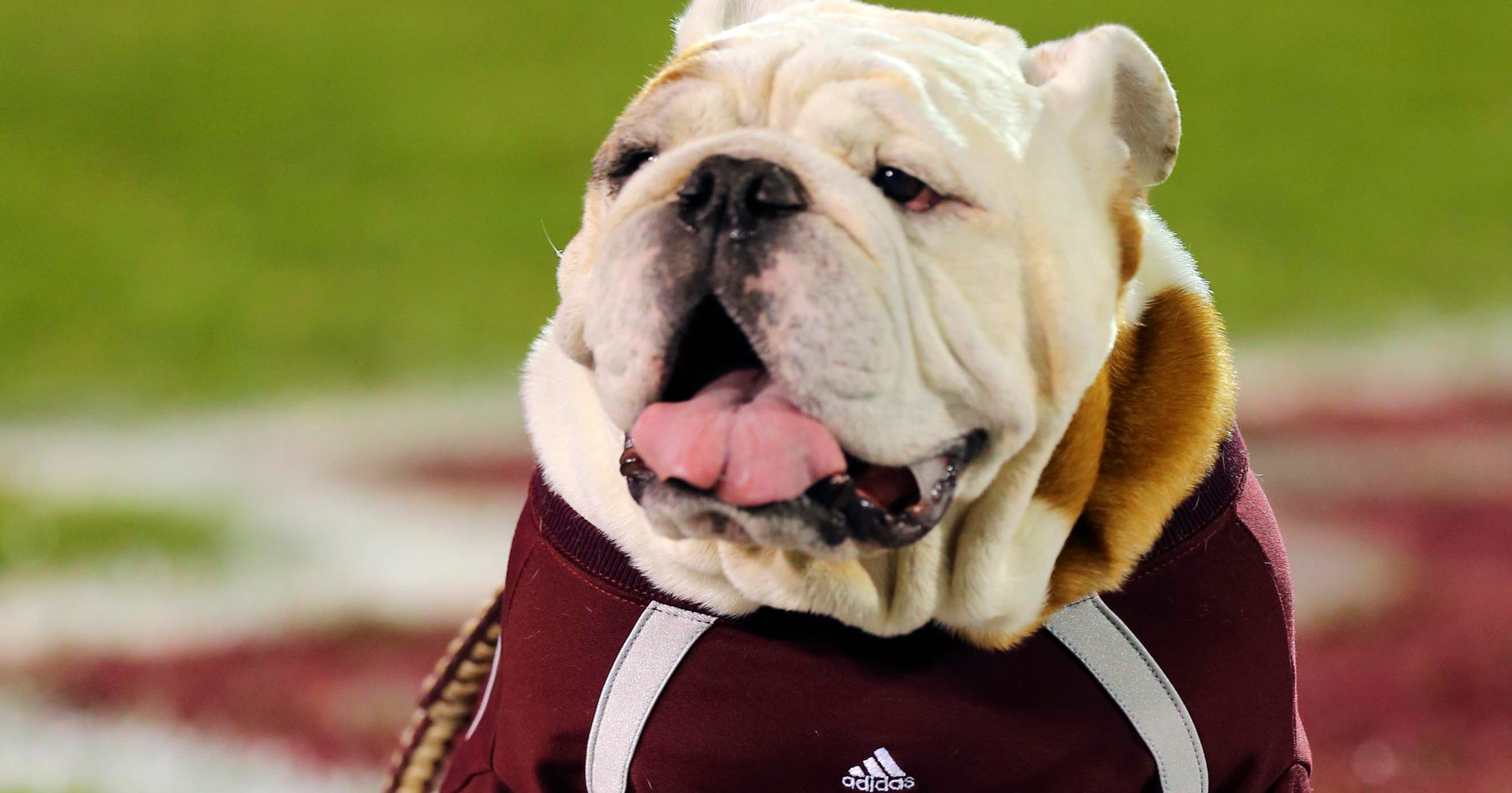 There once was a Mississippi State bulldog mascot named Rebel
