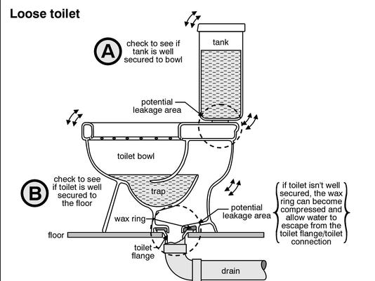 Home Fix Mushrooms Growing Near Toilet