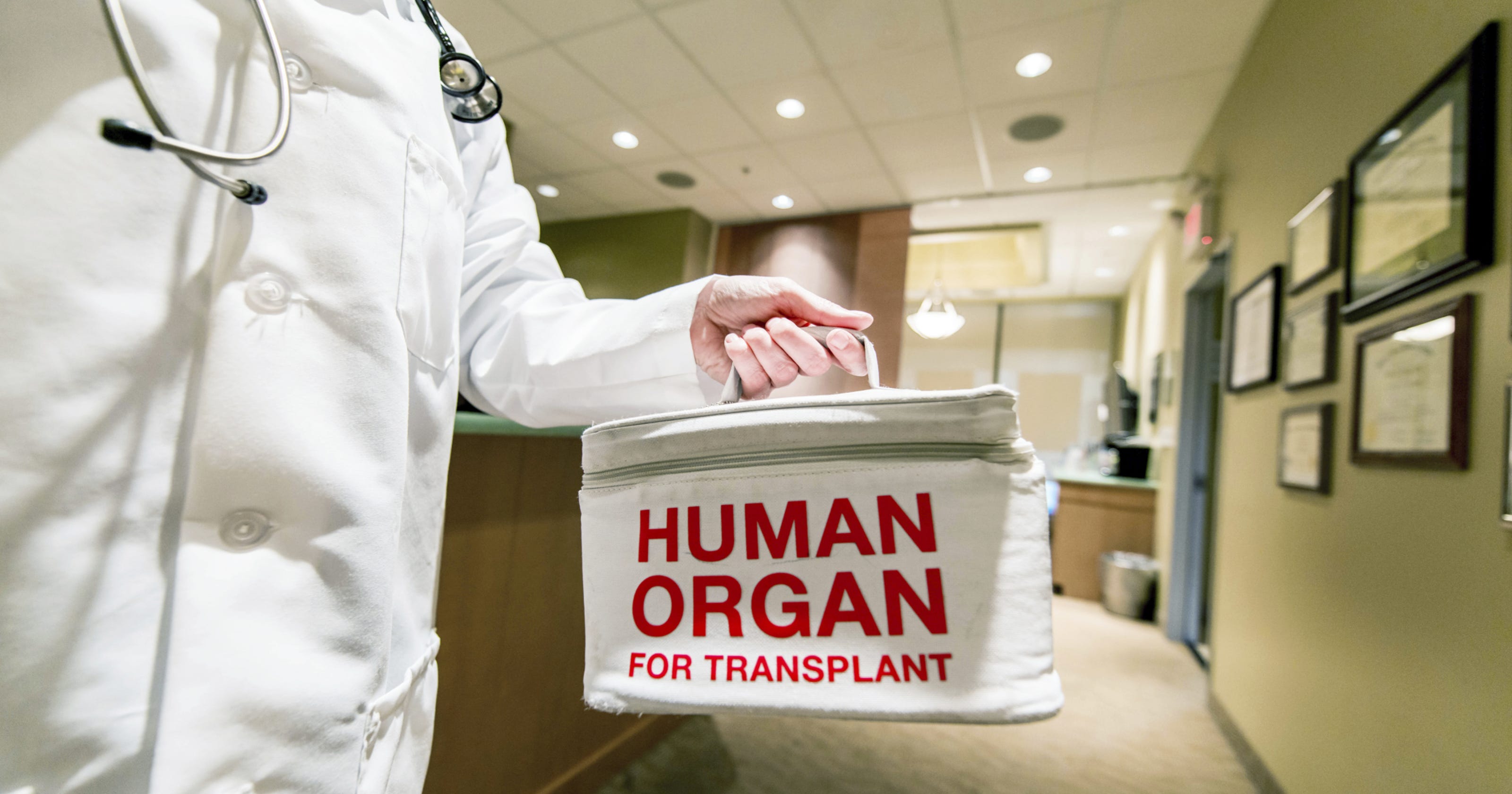 organ donation research
