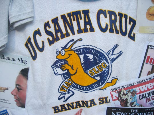 UC Santa Cruz sweatshirt, with banana slug