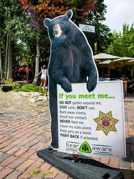 Aspen's Bear Aware education program includes this graphic on the Hyman Avenue pedestrian mall. State wildlife officials say education efforts have limited success and enforcement is a necessary evil.