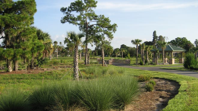 At least 19,000 plants were planted at Trailhead Park, including 297 trees and 381 palms.
