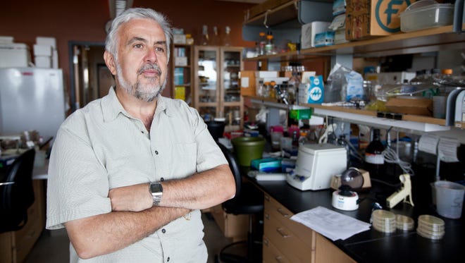 Tim Donohue, director of the Great Lakes Bioenergy Research Center at UW-Madison recently embarked on a new mission: to develop sustainable alternatives to transportation fuels and products currently derived from petroleum.