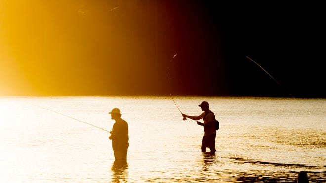 Here are fun activities to do on the Tennessee River