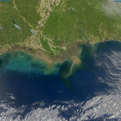 Sediment-laden water pours into the northern Gulf...