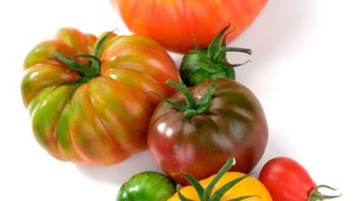 Greenville Garden Center Giving Away 1 000 Tomato Plants