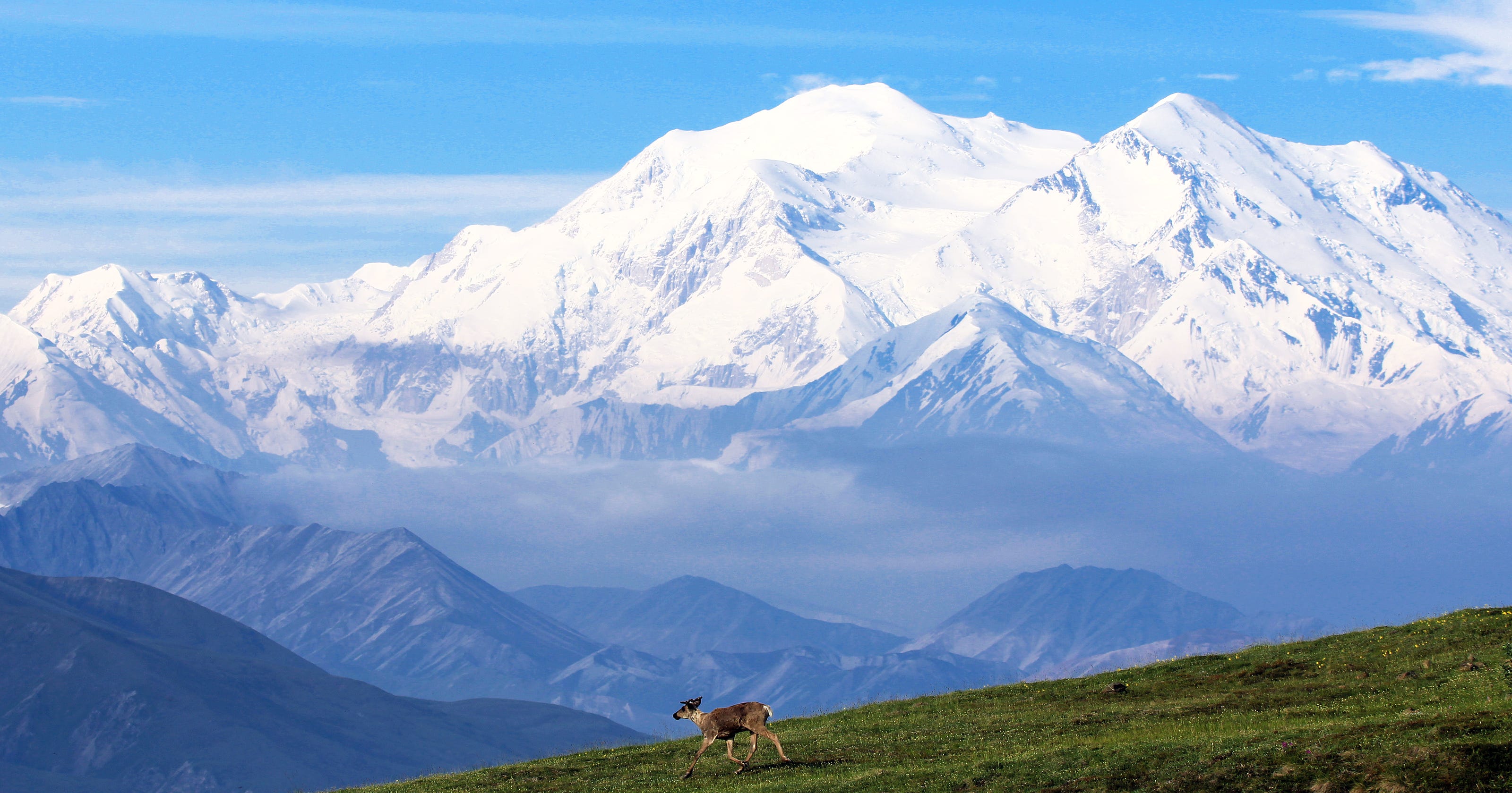 Denali National Park Beautiful and wild