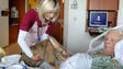 Candy Apple brings Henry, a Flemish Giant rabbit, to