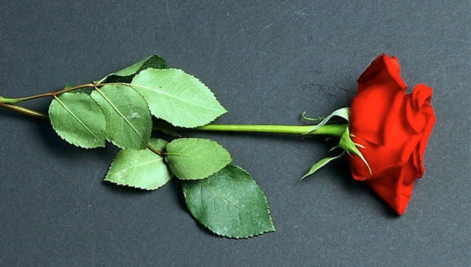 Looking for a fun way to spend Valentine's Day weekend, without having to travel far? We've got you covered for 2022 in Montgomery.