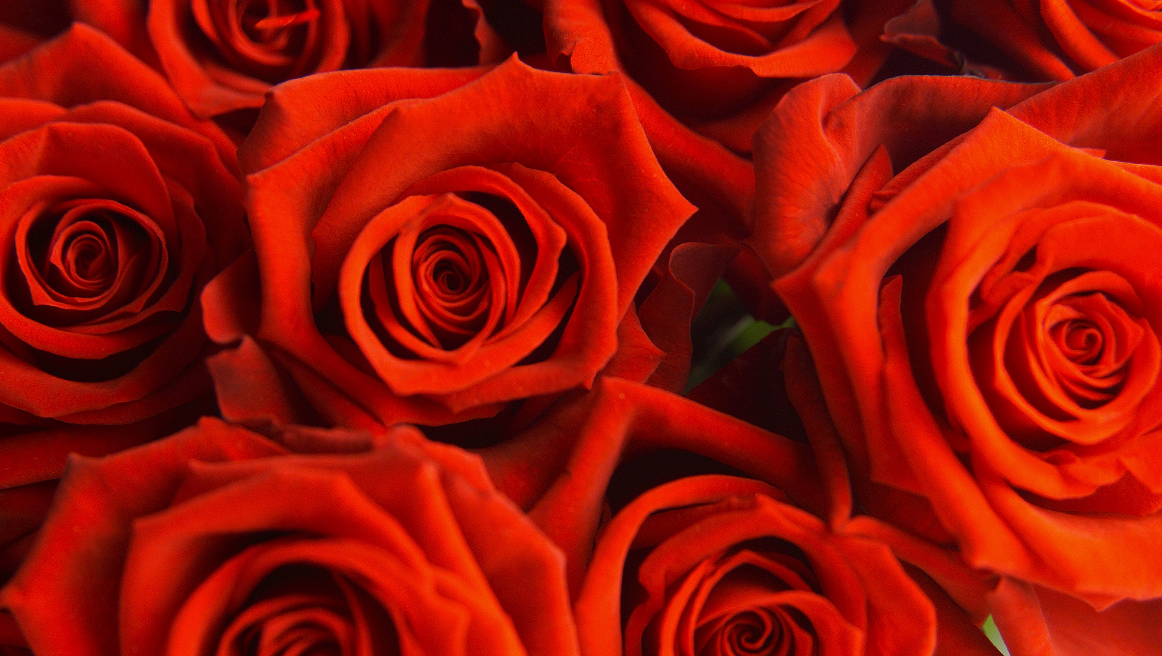 15 Great Valentine S Day Steals And Deals