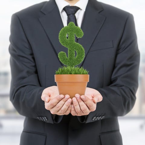 A businessman holding a potted plant in the shape 