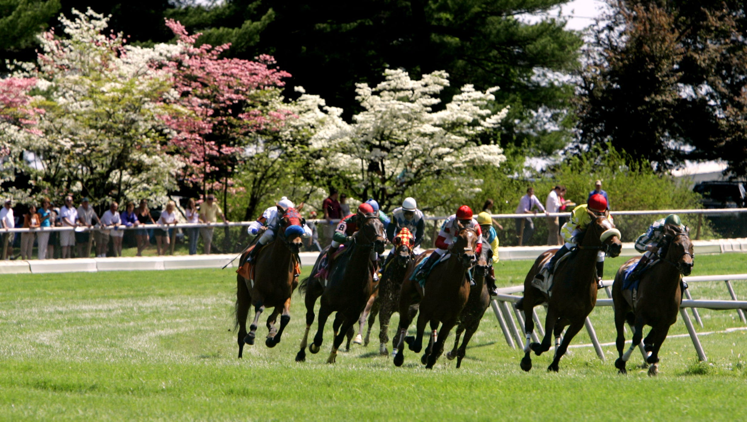 The CJ Tip Sheet Latest Kentucky Derby 2015 updates, news from