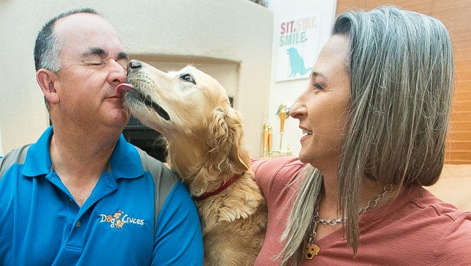 Vic Villalobos and Shannon Murray hang out with two of their four golden retrievers Scout, left, and Ruby on Wednesday, March 2, 2016, at their home. The couple created and are now distributing a preservative free dog shake called Bow Wow Blends that has helped Ruby out with Inflammatory bowel disease (IBD) and reflux. The shake contains pumpkin, blueberries, bananas, carrots and cranberries.