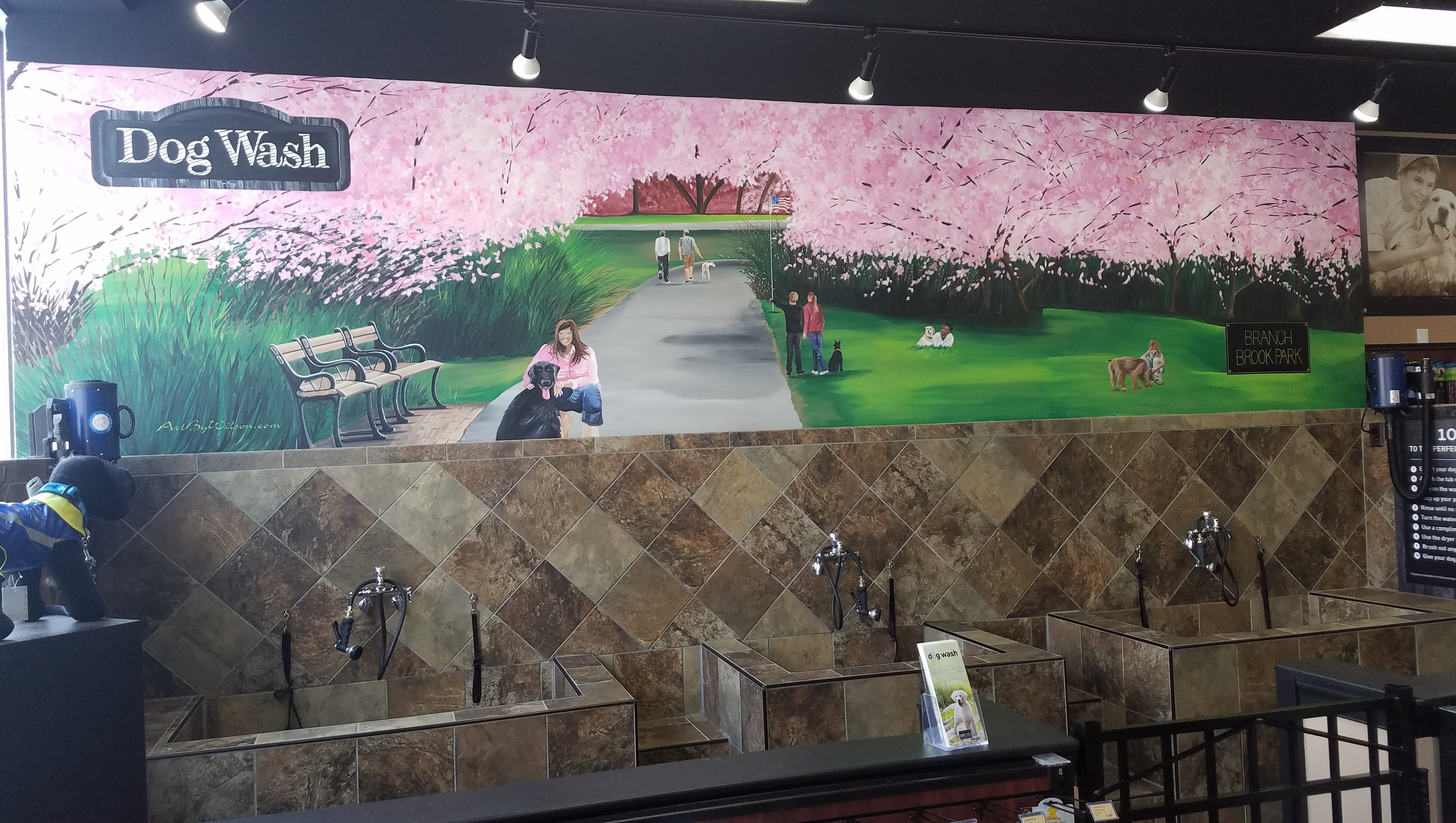 Dog Wash Pet Valu