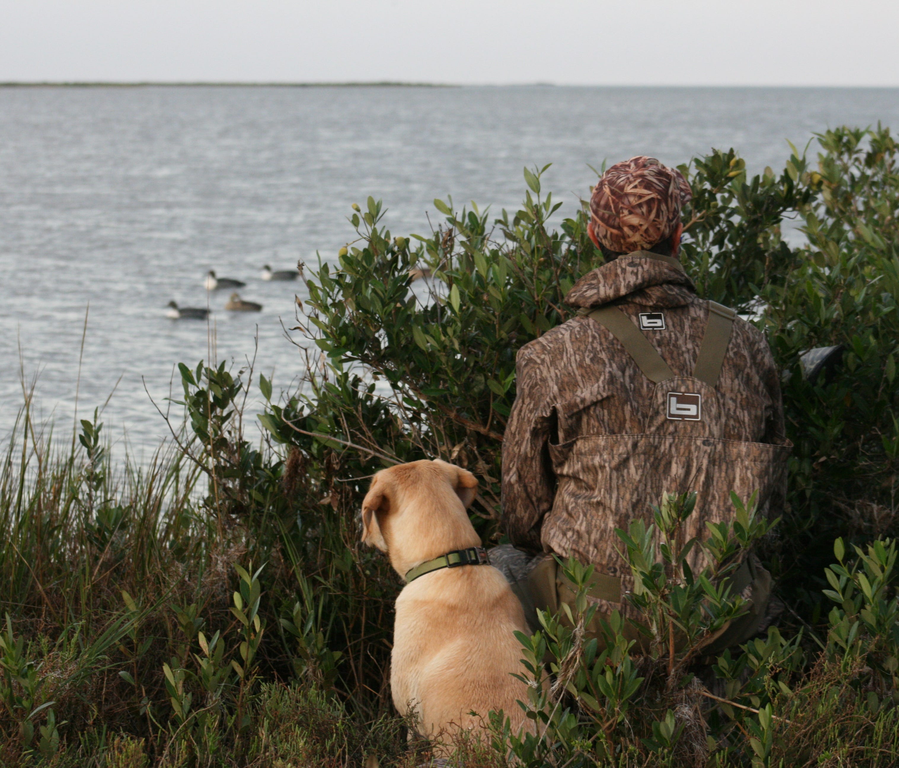 Regardless of the landscape – be it Texas coast, Arkansas rice field or a backwater slough off upper Mississippi River – much of any successful waterfowl hunt is spent scanning the sky.