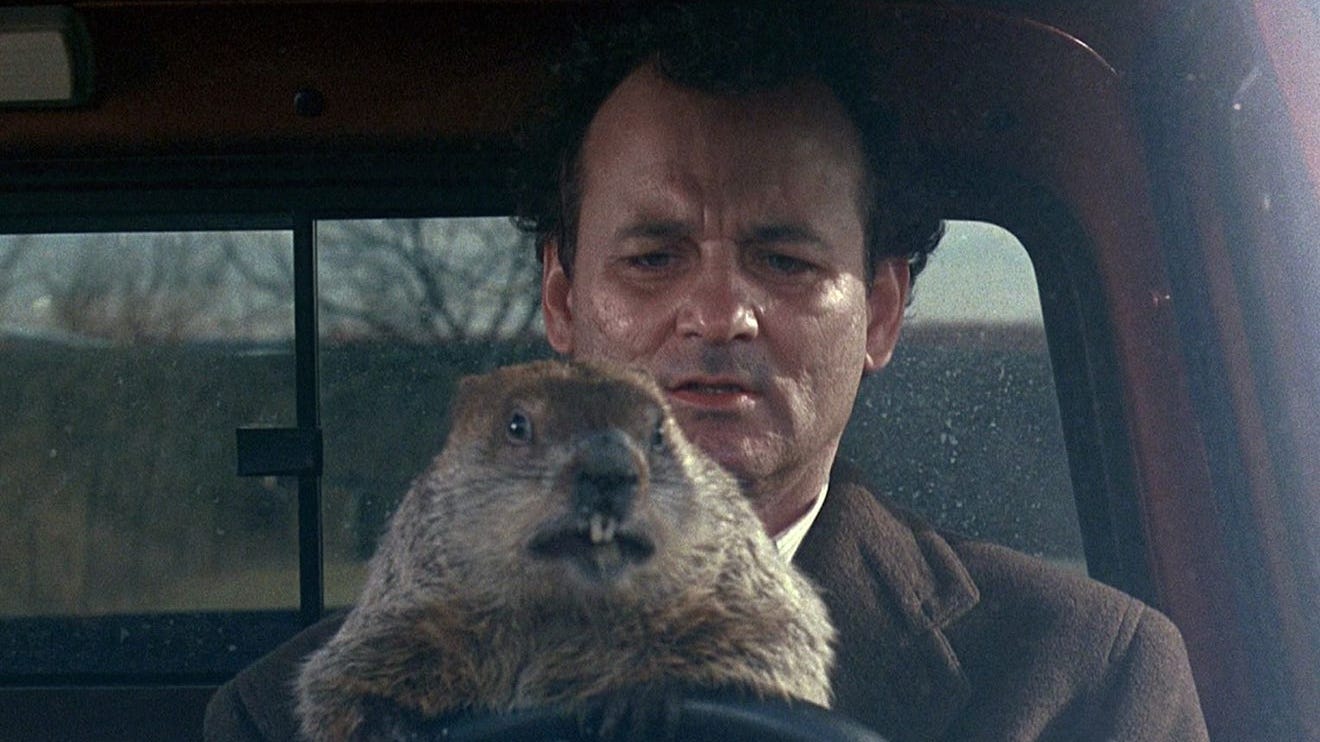 How to watch Groundhog Day the movie before Punxsutawney Phil arrives