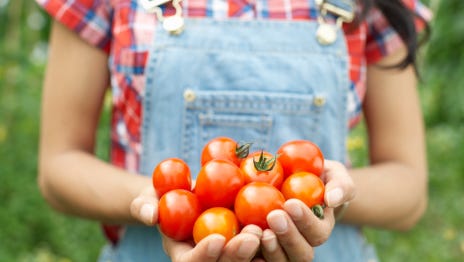 Woman holding tomatoes in hands.