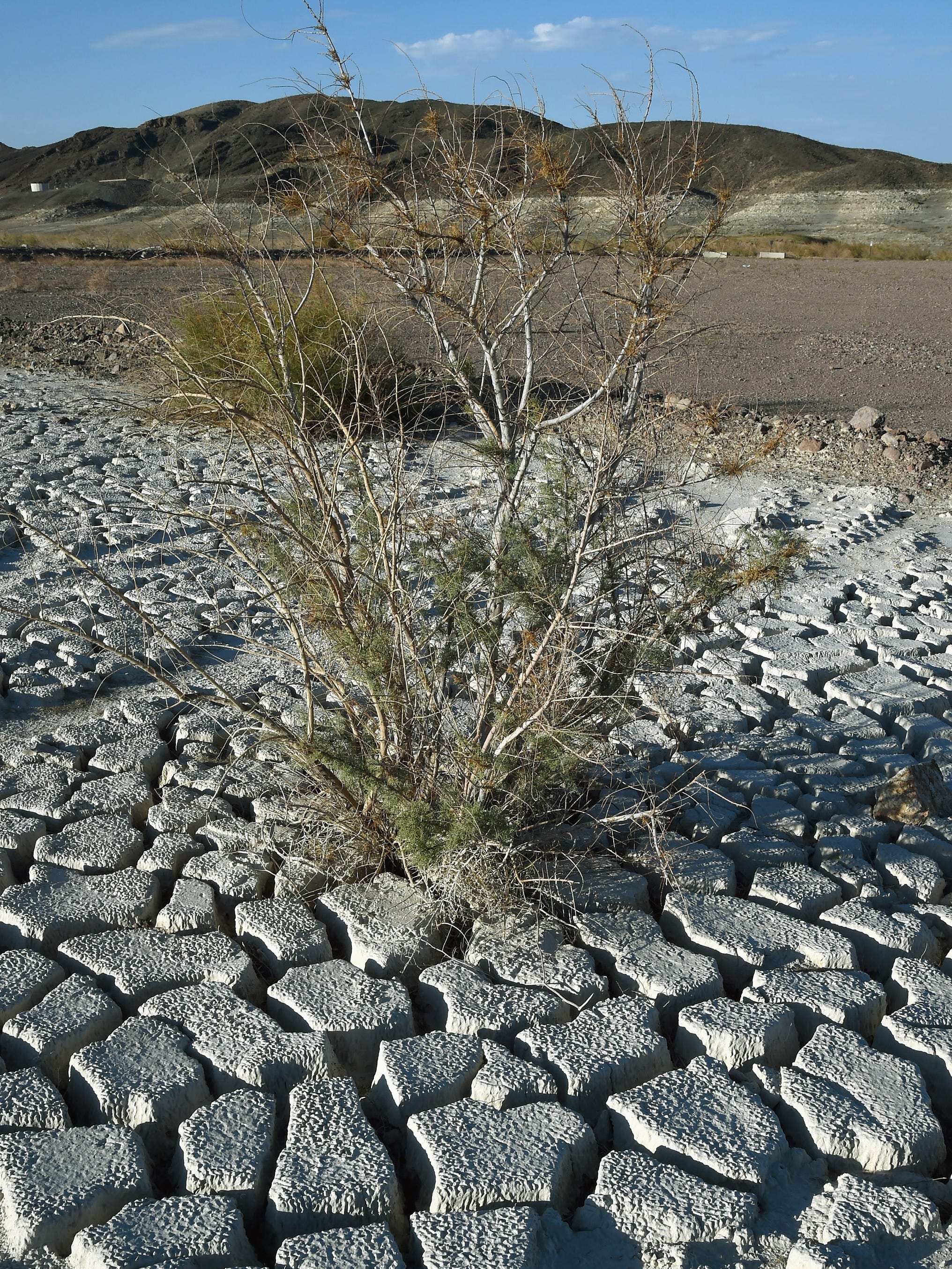 5 reasons to panic about Arizona's water, and 5 reasons not to
