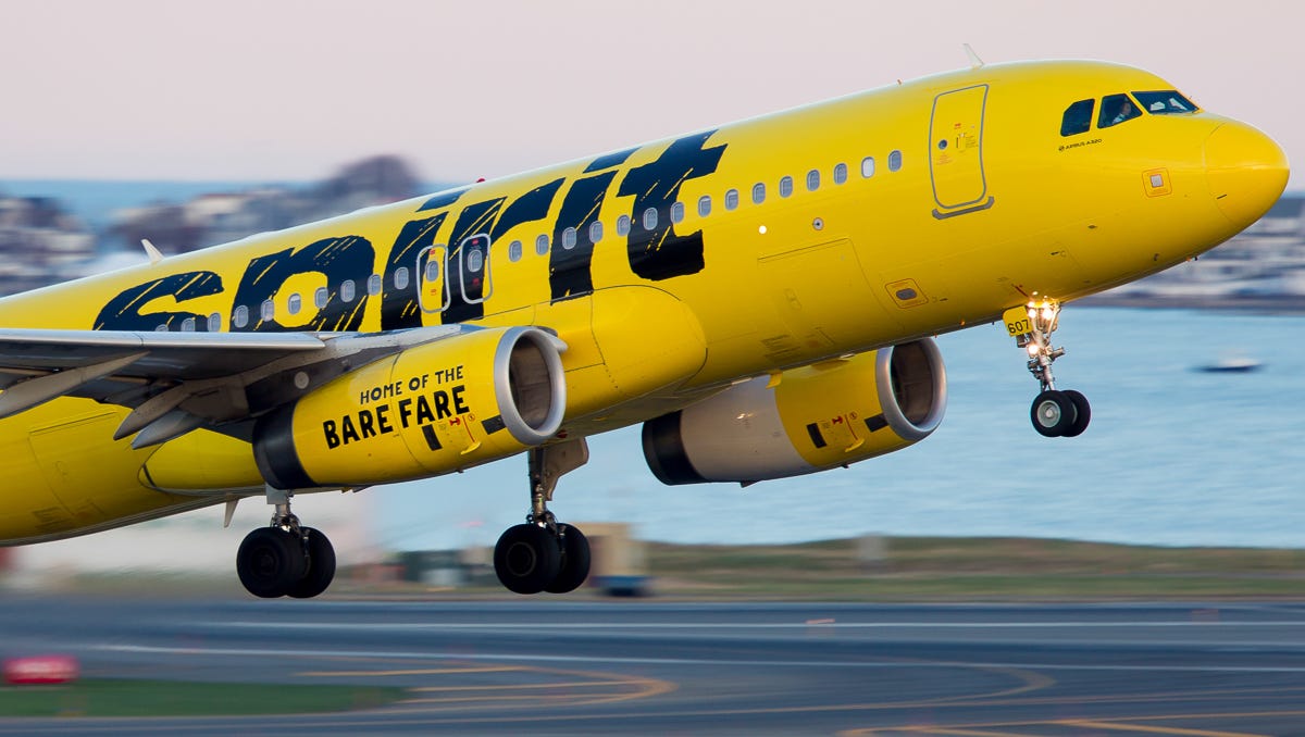 Spirit Airlines Tightens Rules On Emotional Support Animals