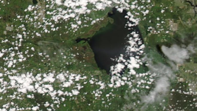 NASA satellite image taken Aug. 9, 2017, shows algae, the bright green rim along the land on the northwest corner, of Lake Okeechobee.