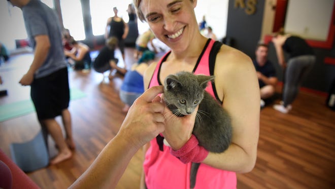 People pet kittens available for adoption following a kitten yoga session Saturday, June 17, 2017 at Revolver Studios in St. Cloud.