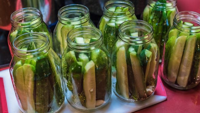 Jars filled with sliced cucumbers, spice mix, dill and garlic sit on a countertop in Mykel Brawley's home kitchen as she begins the pickling process on Thursday, August 10, 2017.