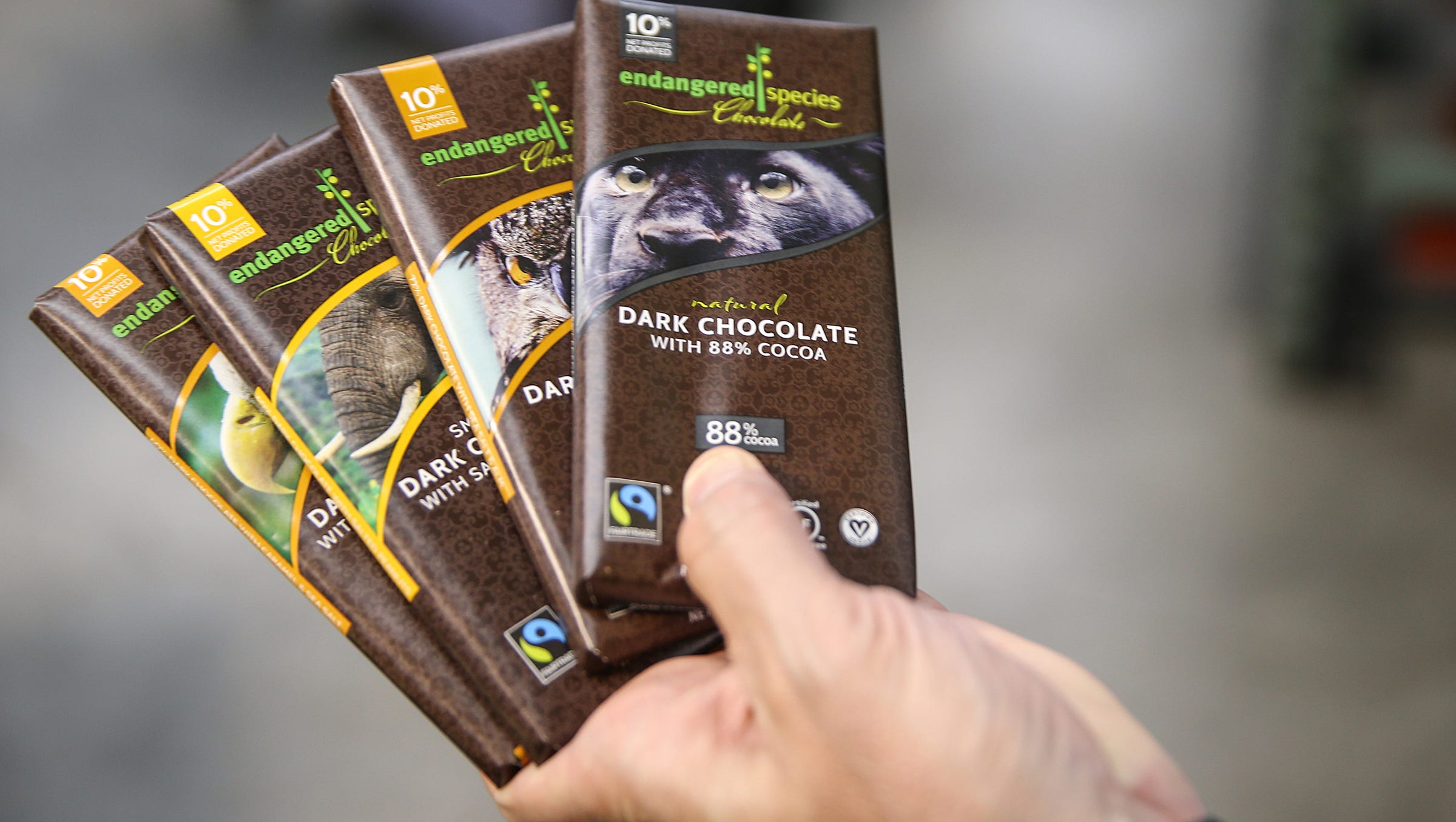Endangered Species Chocolate bars: Indiana made, global impact