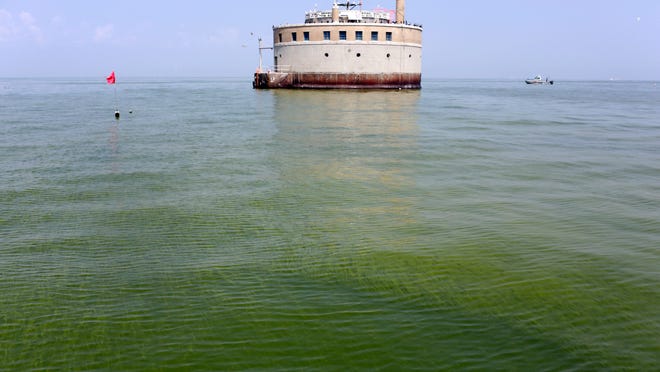 The Toledo water intake crib is surrounded by an algae bloom Aug. 3 on Lake Erie. Toledo’s mayor on Wednesday asked Congress for help preventing the next bloom.