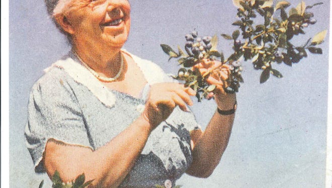 Whitesbog Preservation Trust 아카이브의 파일 사진에 있는 Elizabeth Coleman White.  화이트는 크랜베리 재배를 도왔고 블루베리 산업을 시작했습니다.