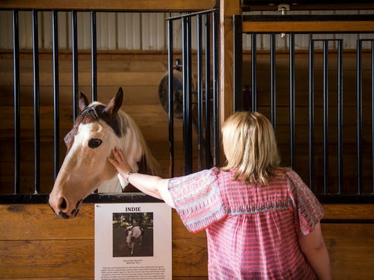 Gentle Barn Celebrates Before Moving From Knoxville To Murfreesboro