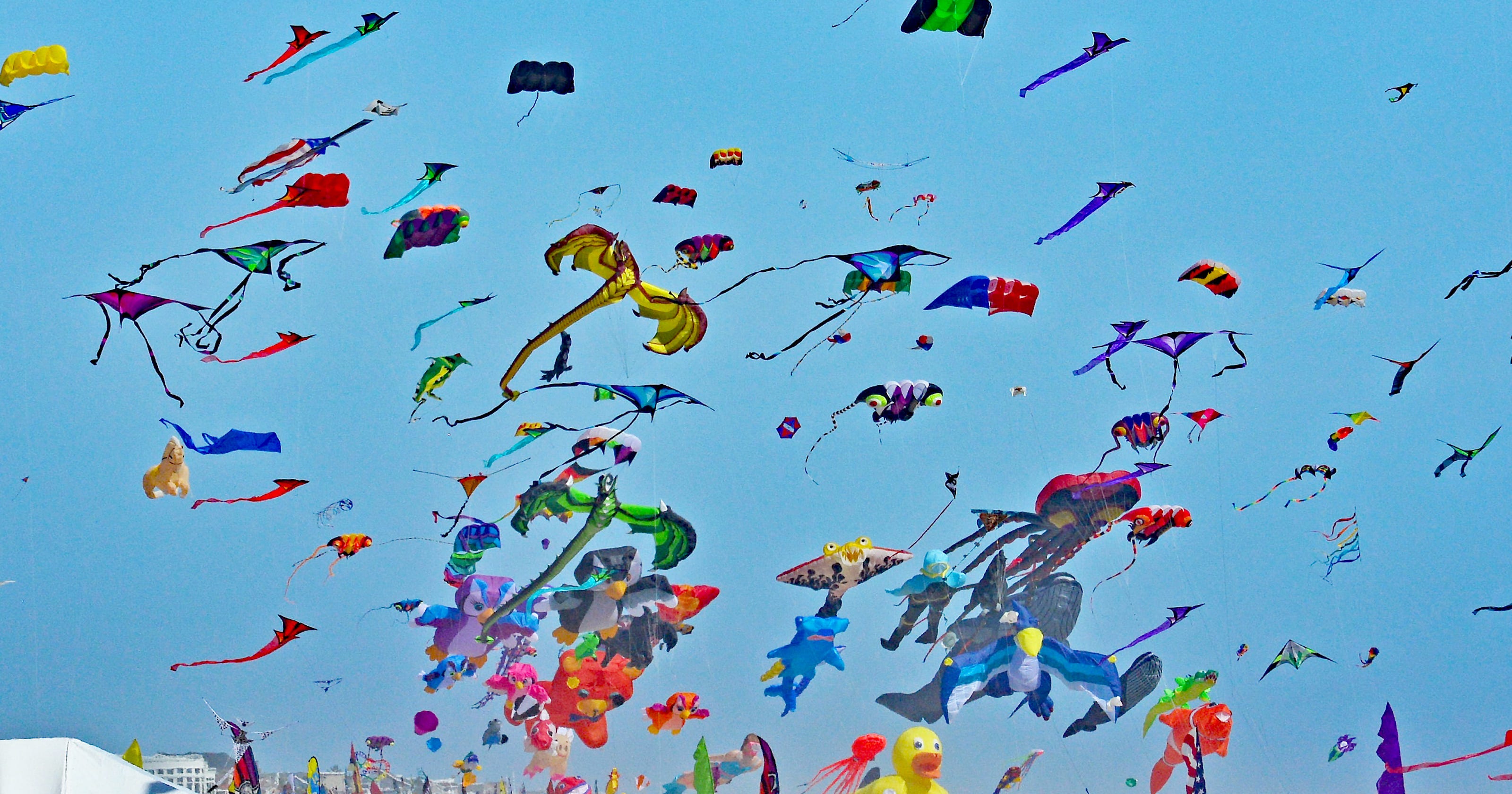 Kite flying season is in the air along the Gulf Coast