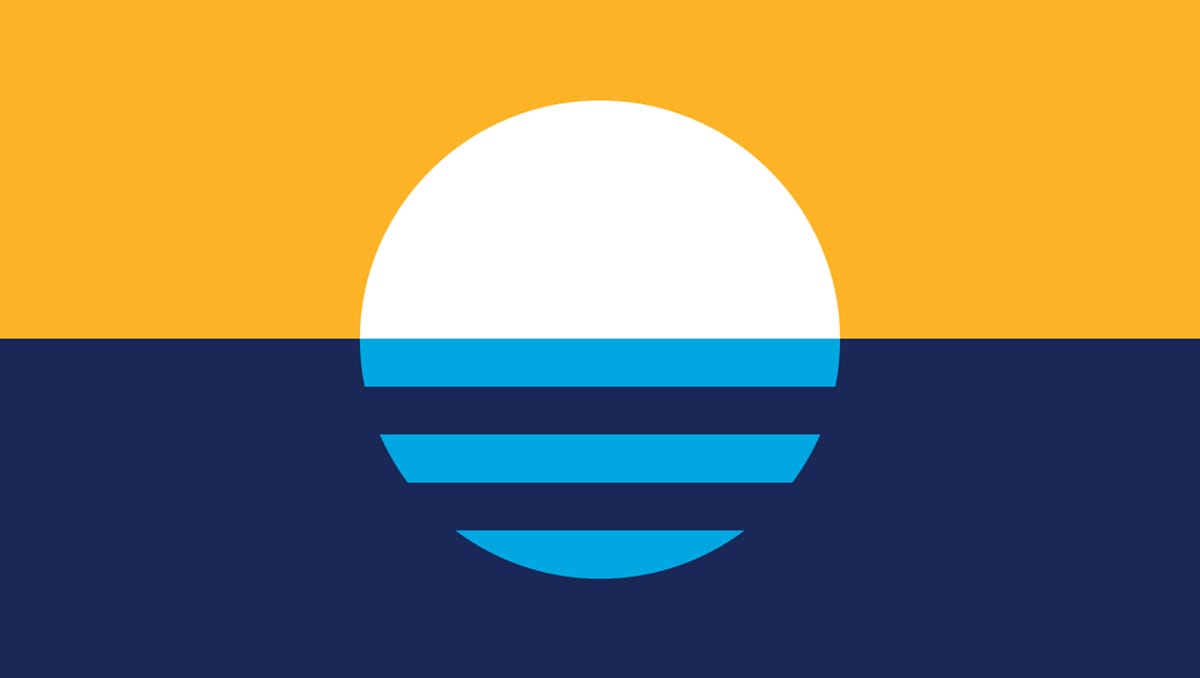After the latest delay on the Milwaukee city flag, an alderman proposes a city-wide vote