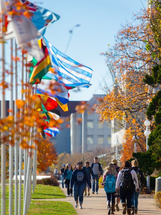 Image result for msu public affairs flags