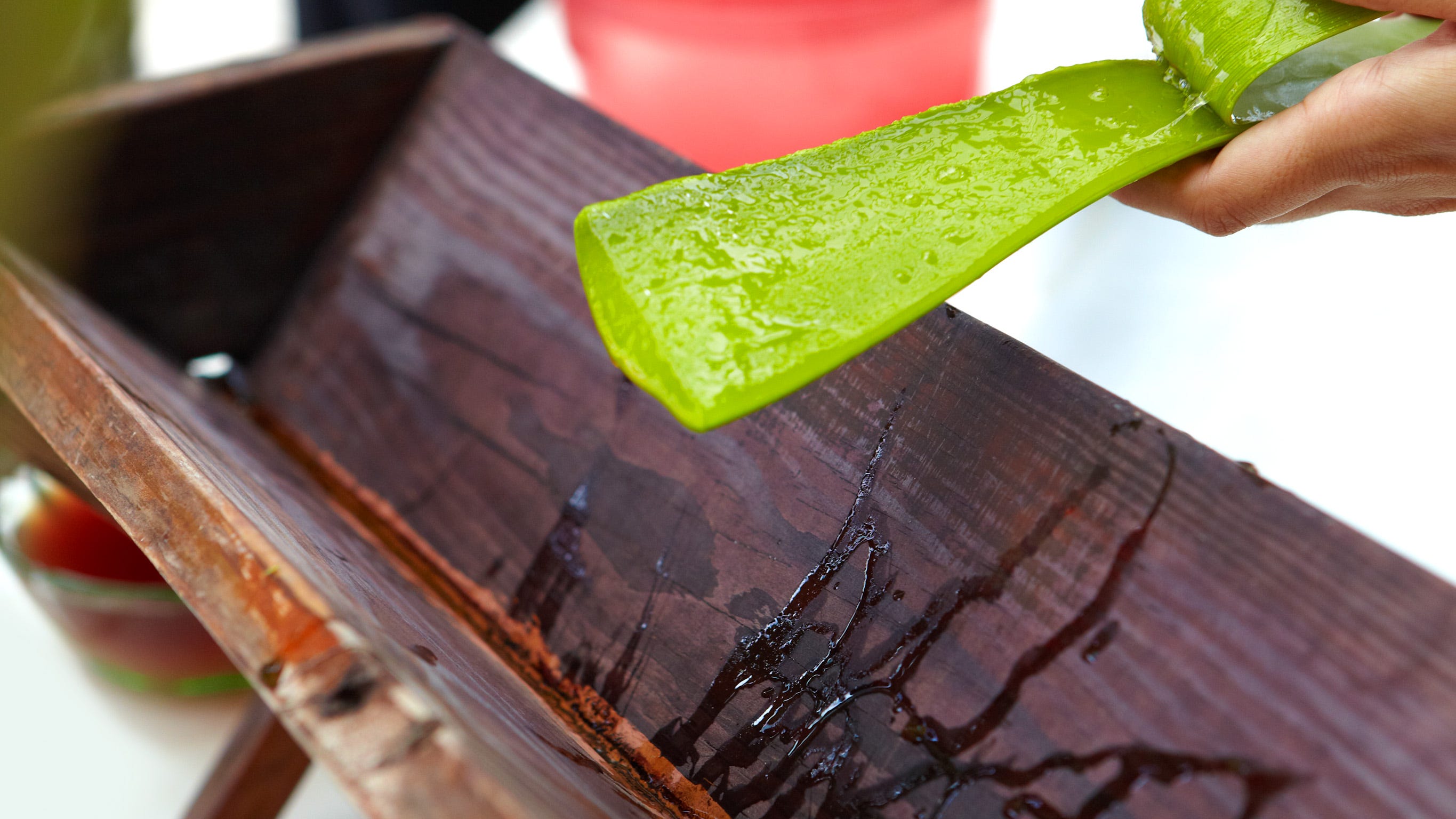 Fact Check Aloe plants absorb carbon dioxide, produce oxygen