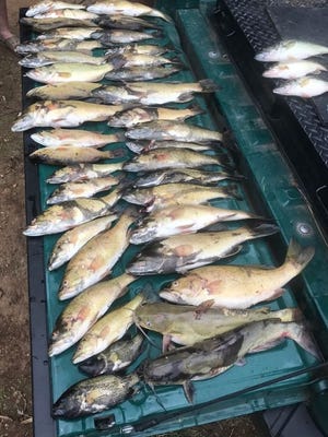 More than 40 bass were confiscated from two Clarksville men in Houston County. The legal limit is five bass each.