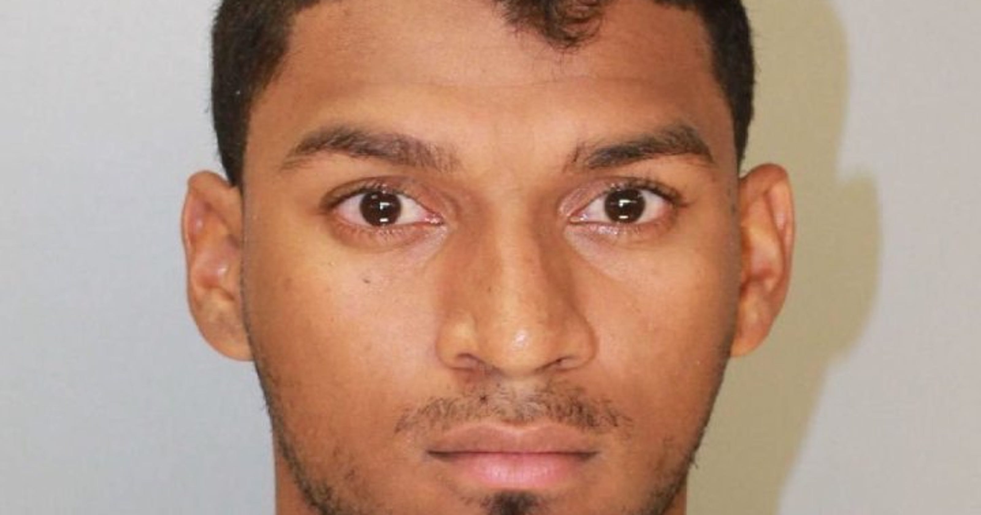 Astros prospect Danry Vasquez arrested after alleged domestic violence