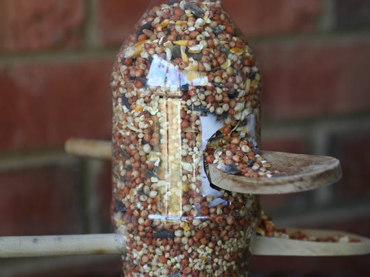 5 Easy Diy Bird Feeders