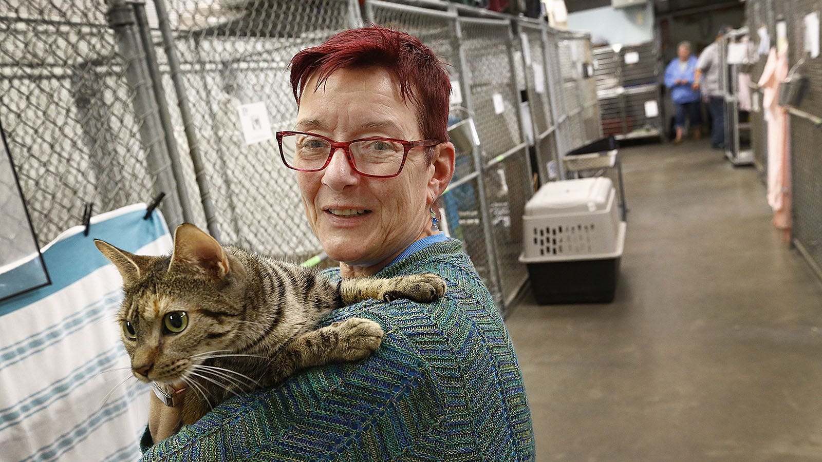 Animal shelter project moving forward