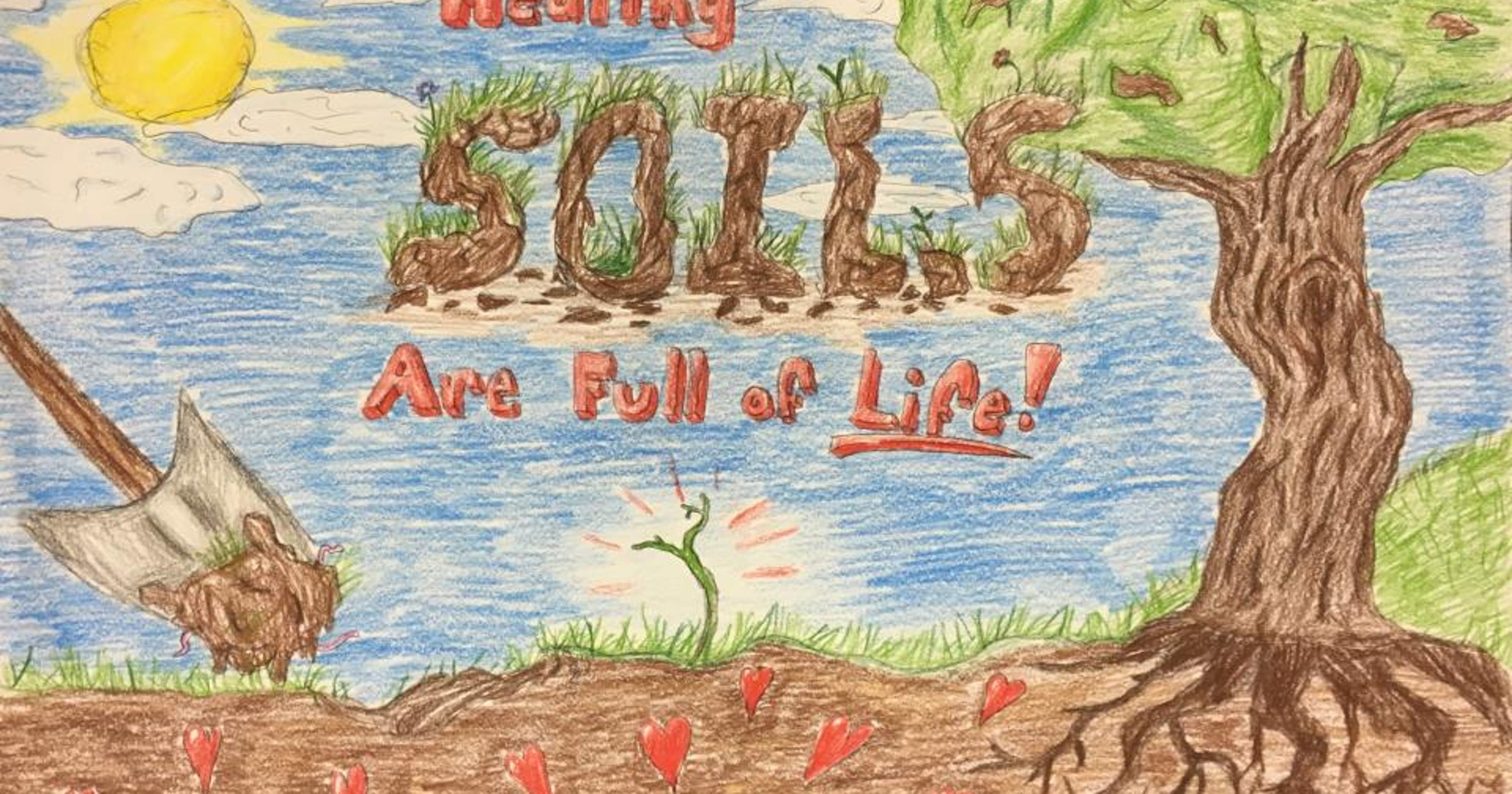 2017 Conservation and Environmental Awareness Poster Contest winners