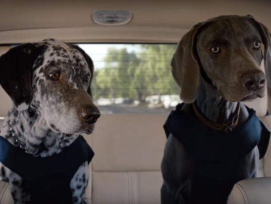 Matthew Mcconaughey Talks To Dogs In Latest Lincoln Ad