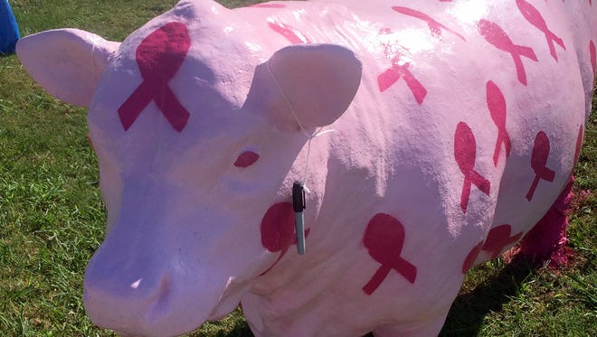The Lunchbox restaurant on Woodlawn Road in Dover, Tennessee is pink for breast cancer awareness month. Survivors, their families and friends are invited to sign the cow. It will stay pink until the Christmas season.