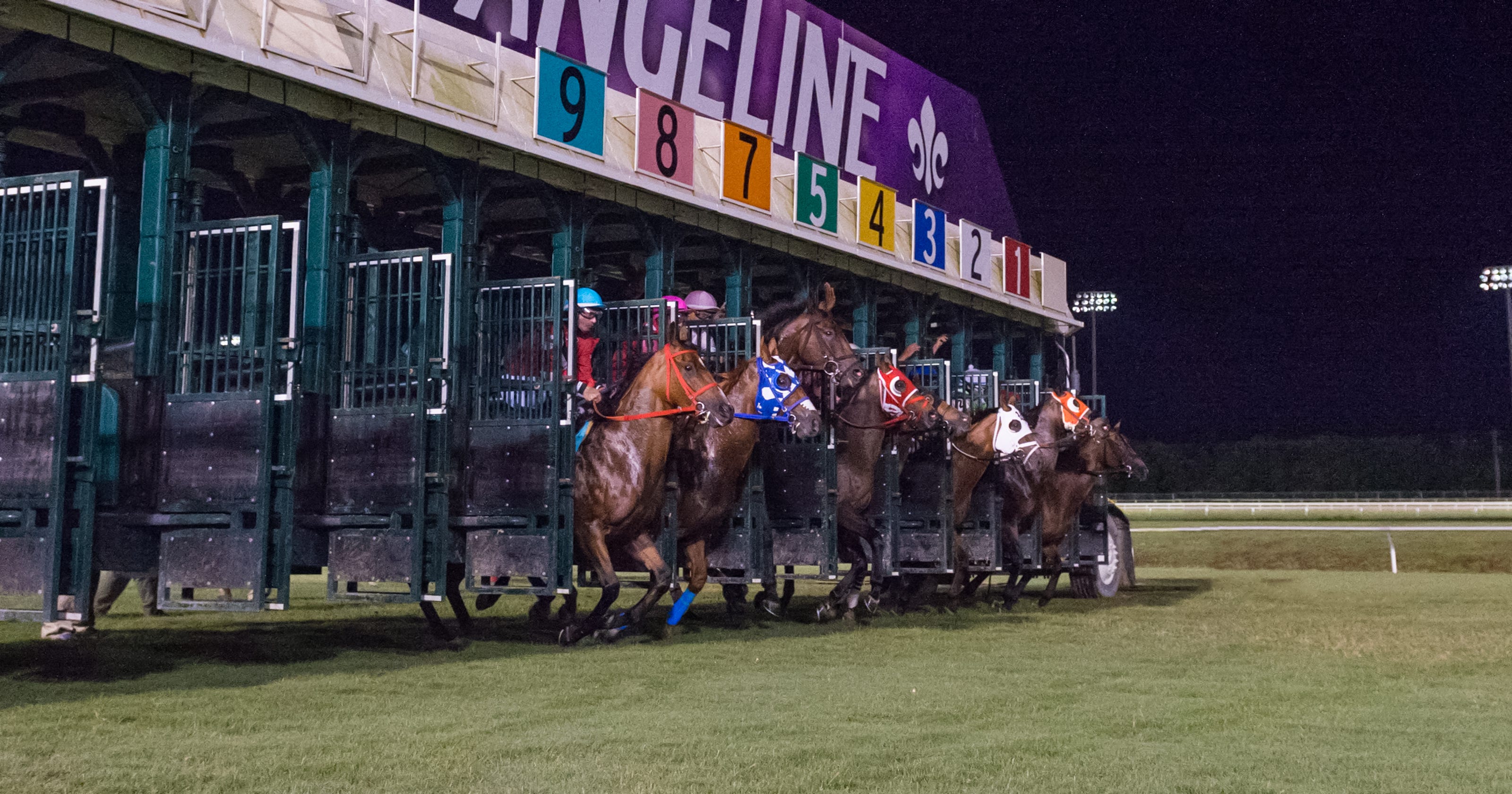 Evangeline Downs Results