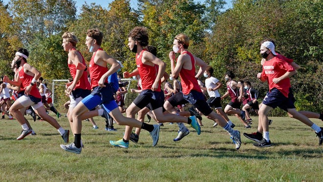 On the strength of its third-place finish in the class championship meet on Saturday, the Portsmouth boys cross country team qualified for the state meet.