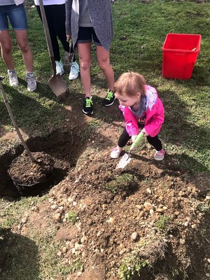 Ellison School students planted a Red Maple tree to celebrate Arbor Day.