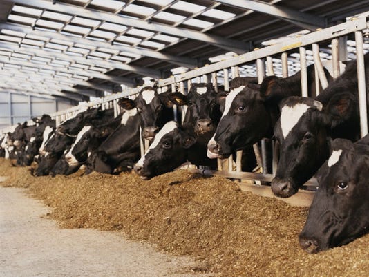 How Is Cow Manure Good For Plants