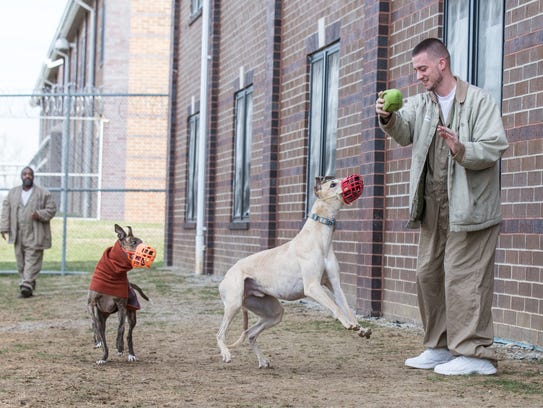Prison Greyhounds inmate-handler Josh Stephens, right,