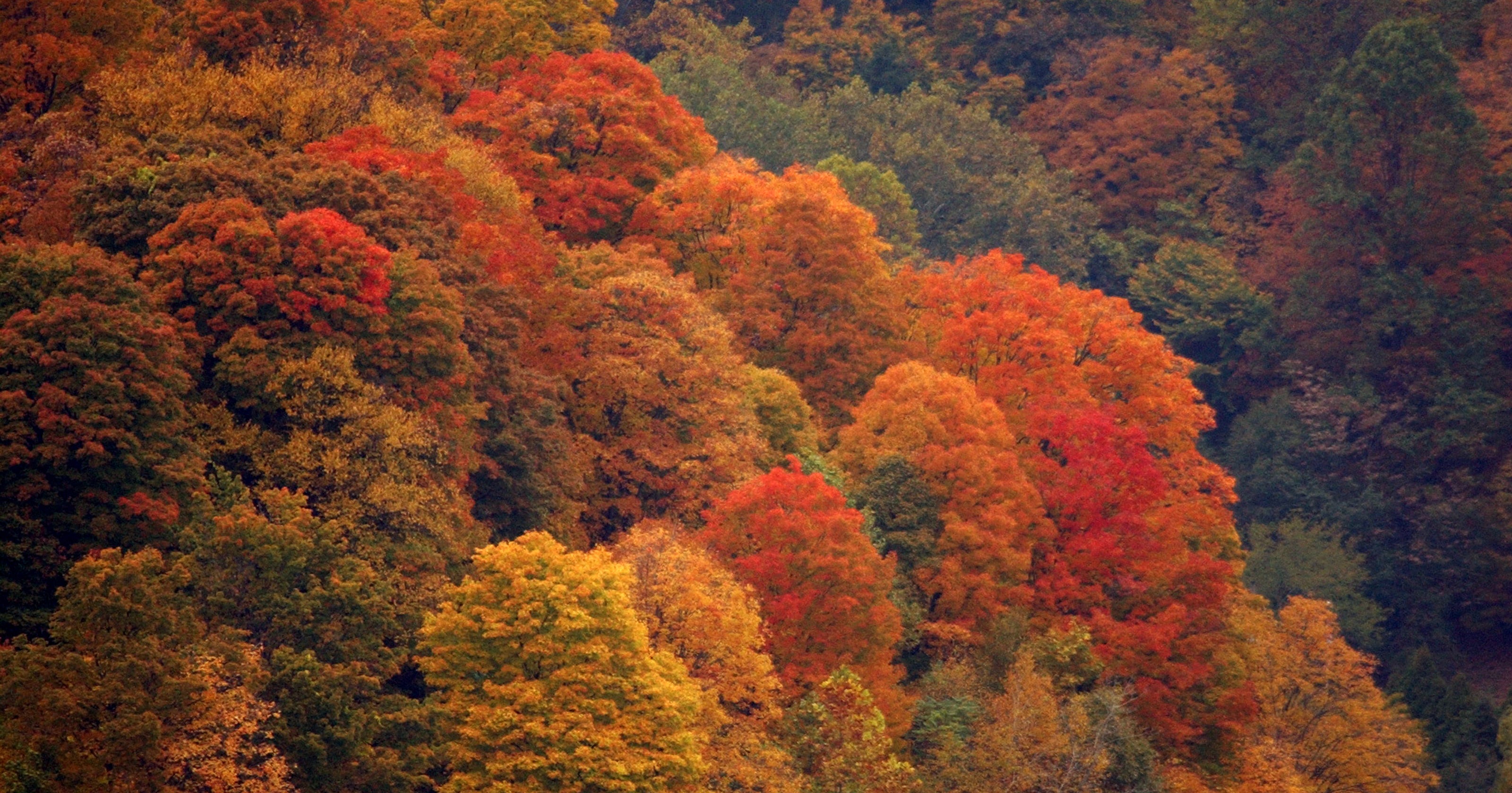 Leafpeeping 2016 Hudson Valley day trips