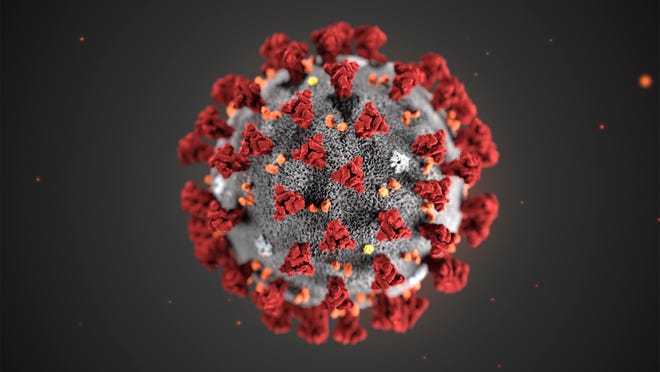 This illustration from the Centers for Disease Control and Prevention in January 2020 shows the novel coronavirus 2019 (2019-nCoV).  This virus was identified as the cause of an outbreak of respiratory disease first discovered in Wuhan, China.