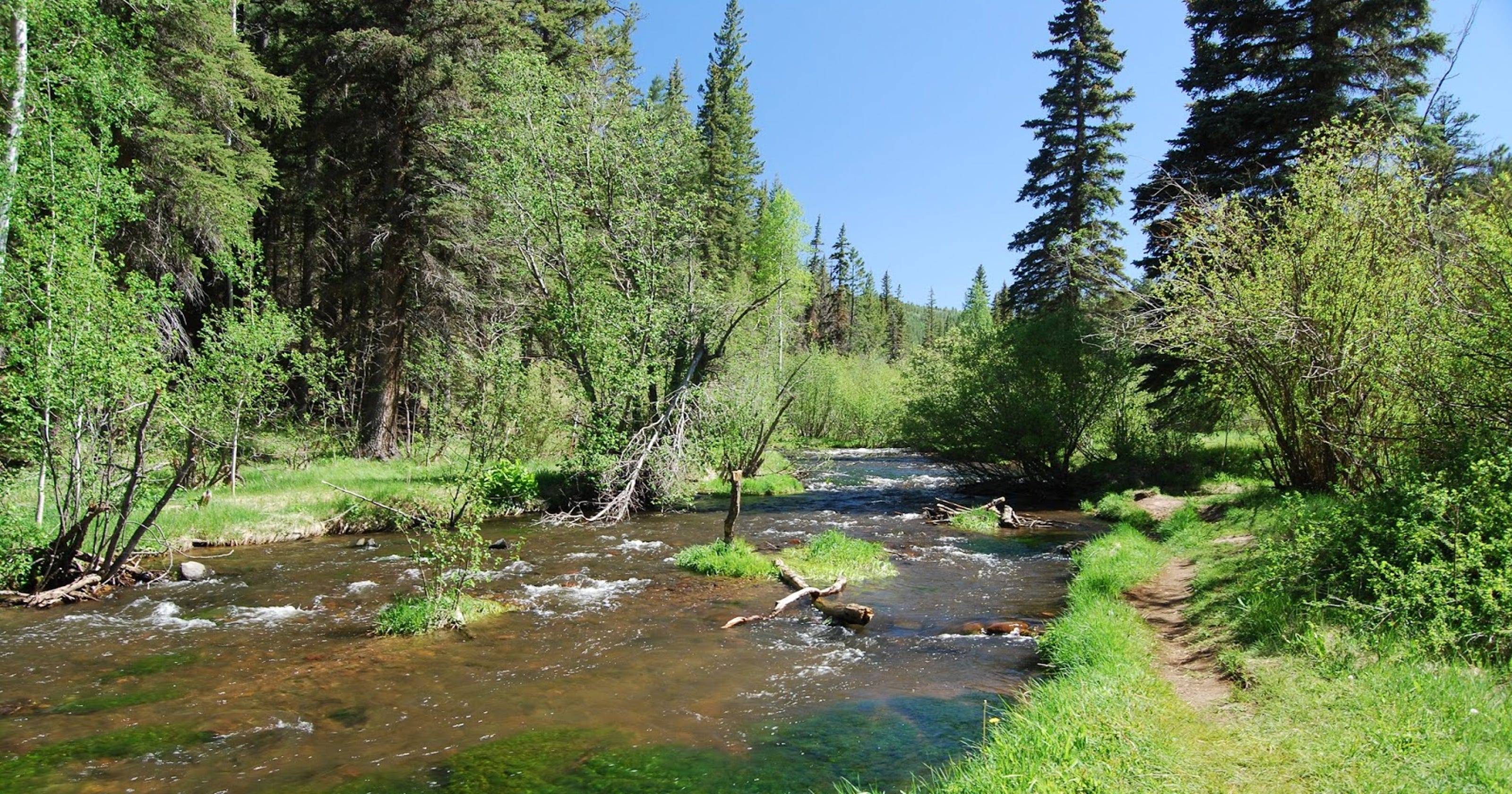 Hiking the East Fork Trail near Greer