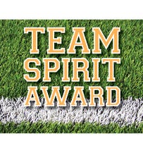team spirit award